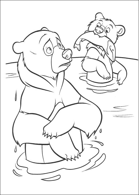 Mój brat niedźwiedź #25