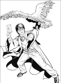 Harry Potter #68