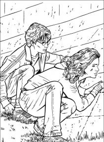 Harry Potter #66