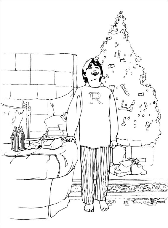 Harry Potter #40