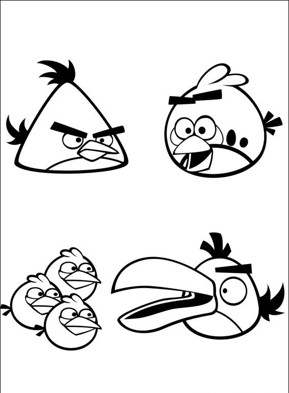 Angry Birds #38