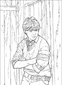 Harry Potter #53