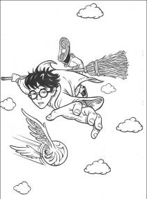 Harry Potter #12