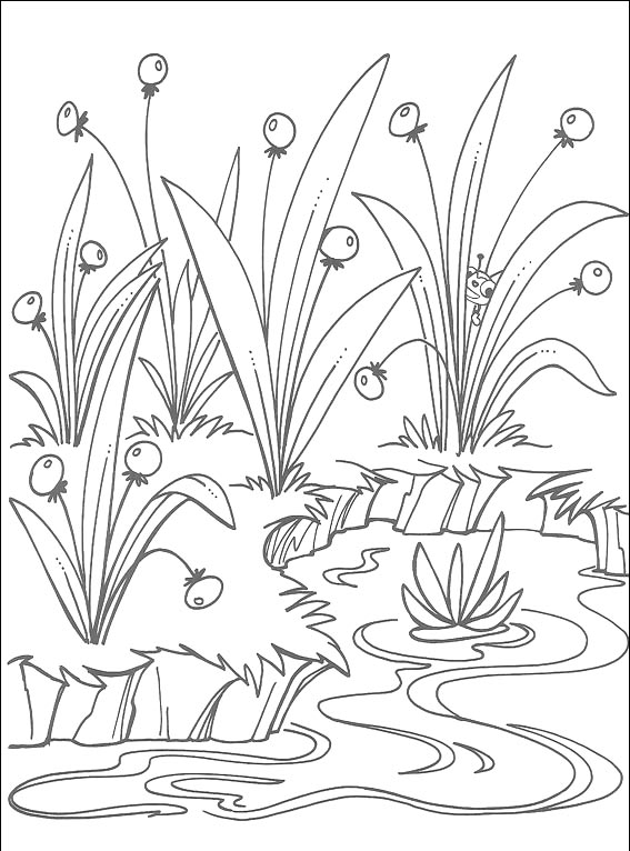 Pani Pająkowa i przyjaciele ze Słonecznej Doliny #4