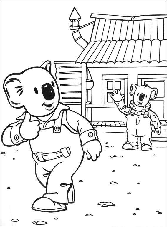 Bracia koala #26