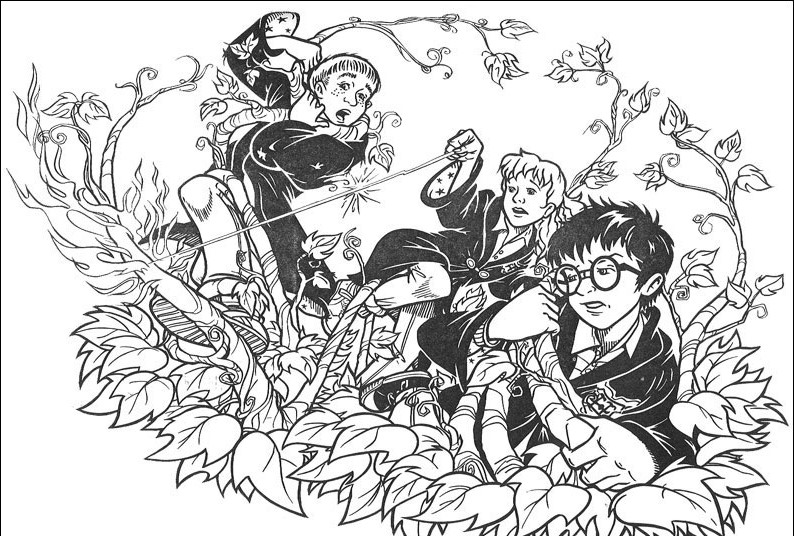 Harry Potter #28