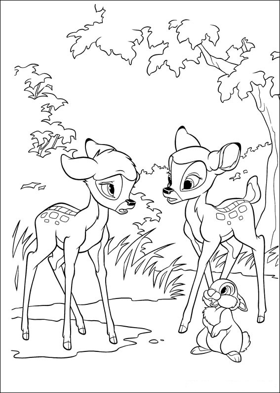Bambi #43