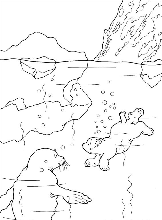 Mały polarny miś #30