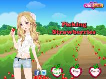 Zbieranie truskawek